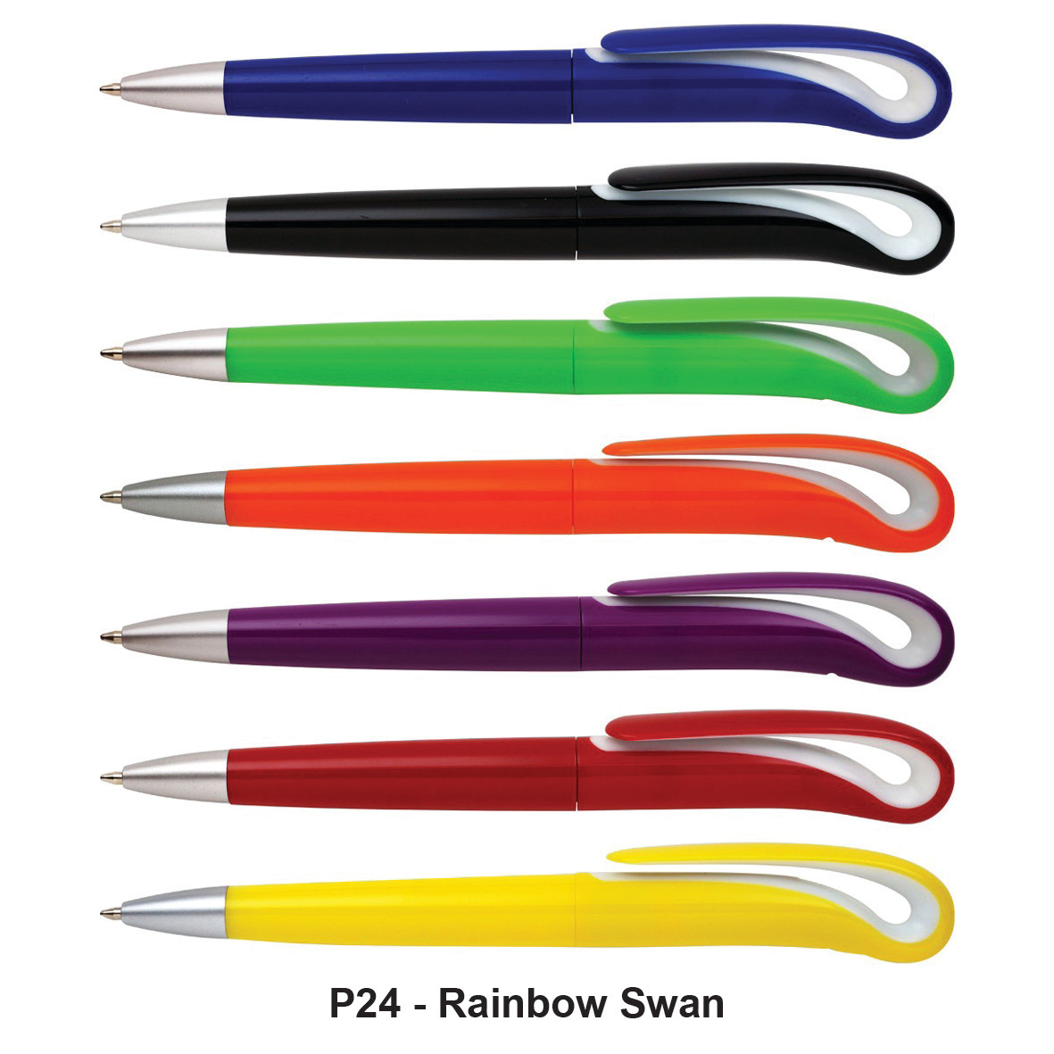 P24 - Rainbow Swan